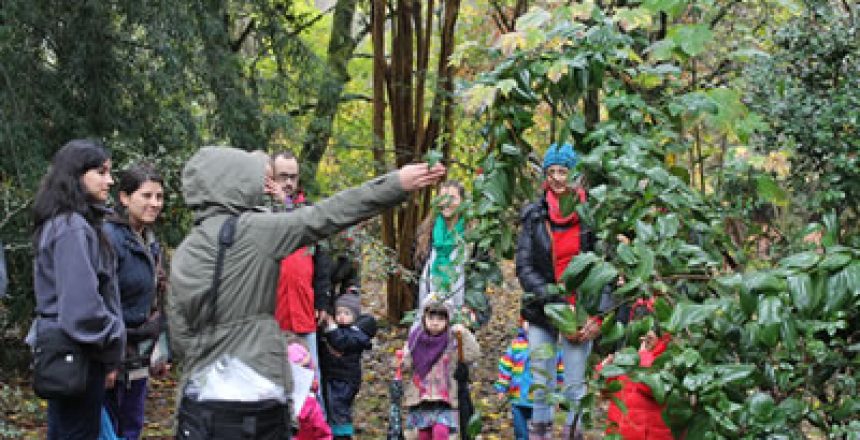 Niños y adultos disfrutaron del Jardín Botánico.