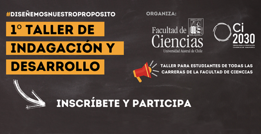 Promo. Taller Cs UACh-FracasoLab_web